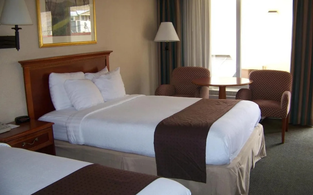 photo 3 of Chestnut Tree Inn - Cherokee