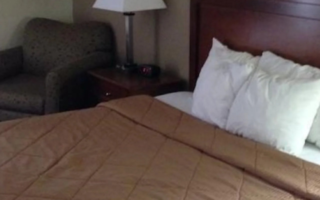 photo 3 of Rodeway Inn & Suites