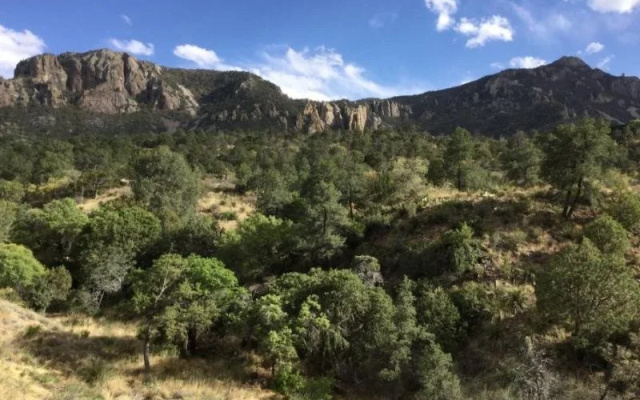 photo 5 of Chisos Mountains Lodge