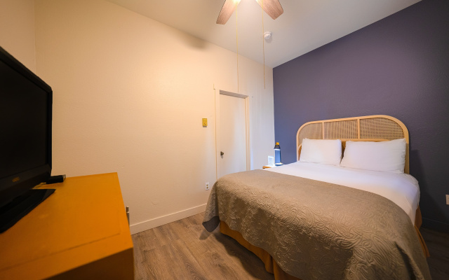 photo 5 of City Centre Motel by OYO
