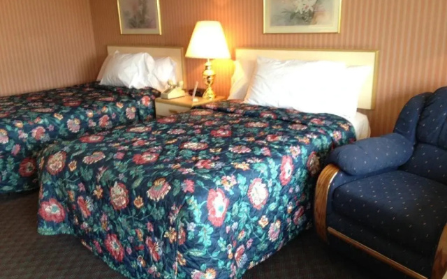 photo 2 of City Lodge