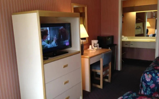 photo 4 of City Lodge