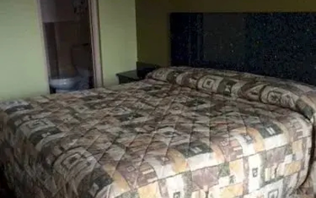 photo 3 of City Motel