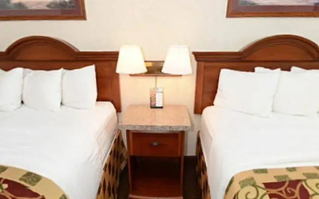 photo 5 of Clarion Hotel