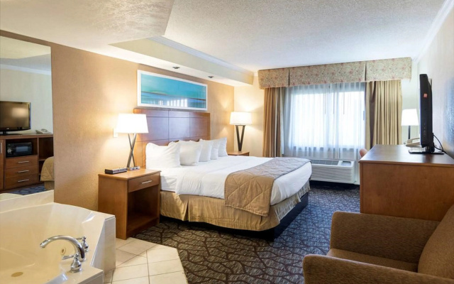 photo 3 of Clarion Hotel Detroit Metro Airport