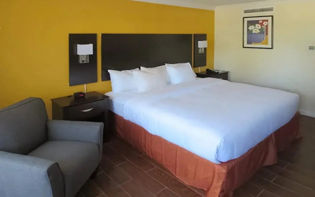 photo 5 of The Link Hotel on Sunrise