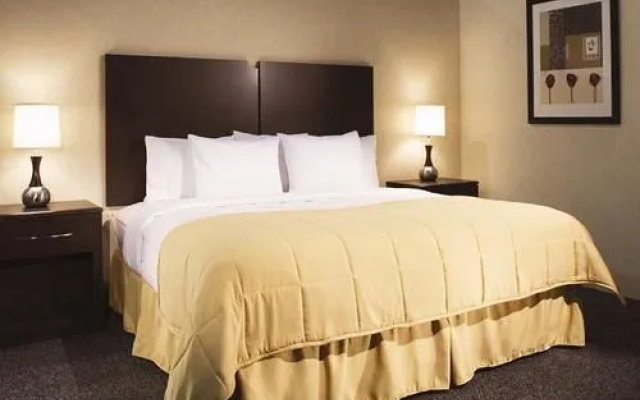 photo 3 of Clarion Inn Rochester