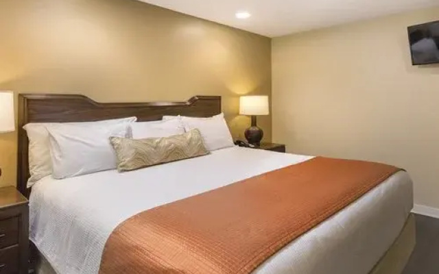 photo 3 of Orange Tree Resort