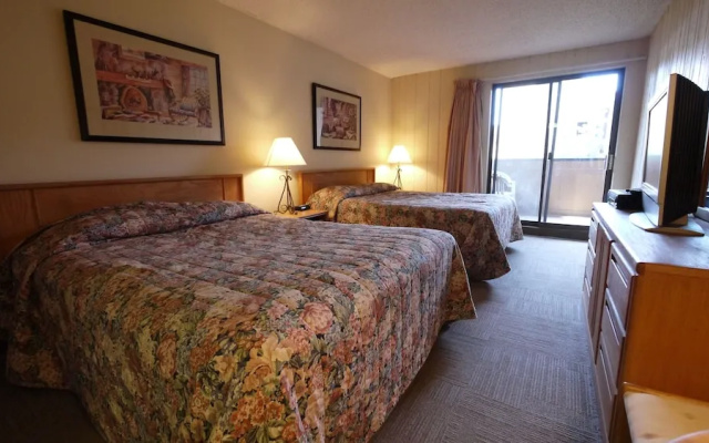 photo 3 of CM447H Hotel Room 1Br 1 Ba