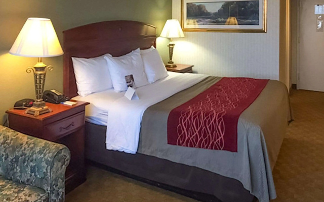 photo 3 of Comfort Inn Springfield