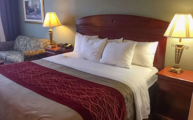 photo 5 of Comfort Inn Springfield