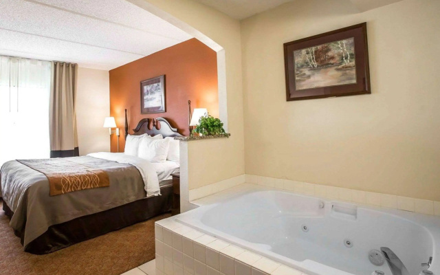 photo 3 of Comfort Inn & Suites Spartanburg North