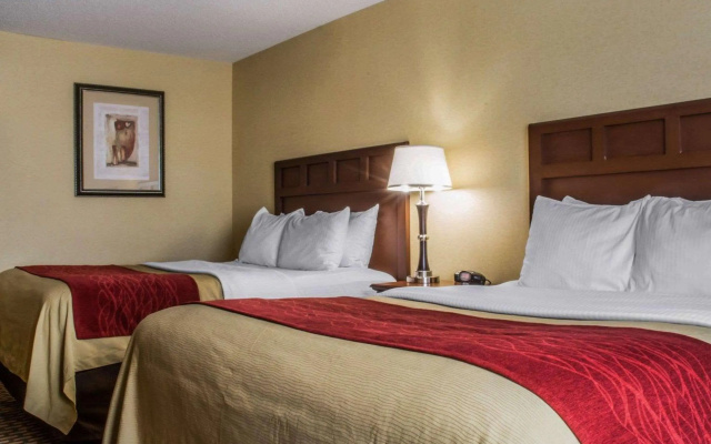 photo 4 of Comfort Inn & Suites Farmington - Victor