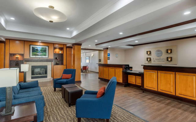photo 2 of Comfort Inn & Suites Camden