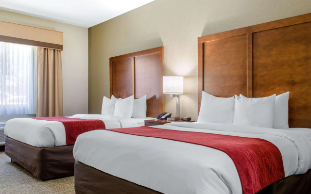 photo 5 of Comfort Inn & Suites Covington - Mandeville