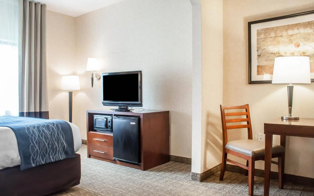 photo 4 of Comfort Inn & Suites Hamburg - Buffalo South
