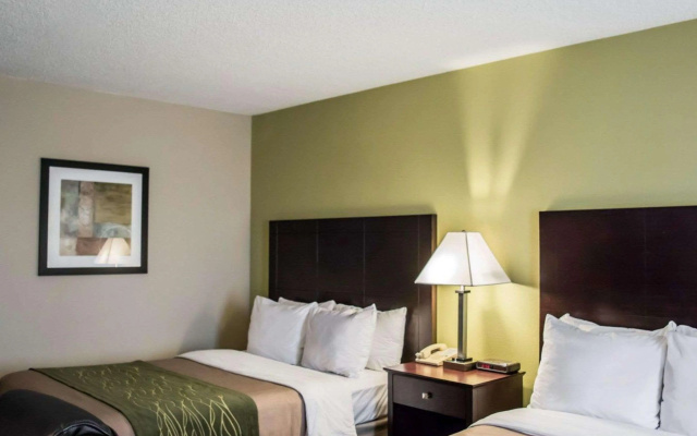 photo 3 of Comfort Inn & Suites St. Pete - Clearwater International Airport