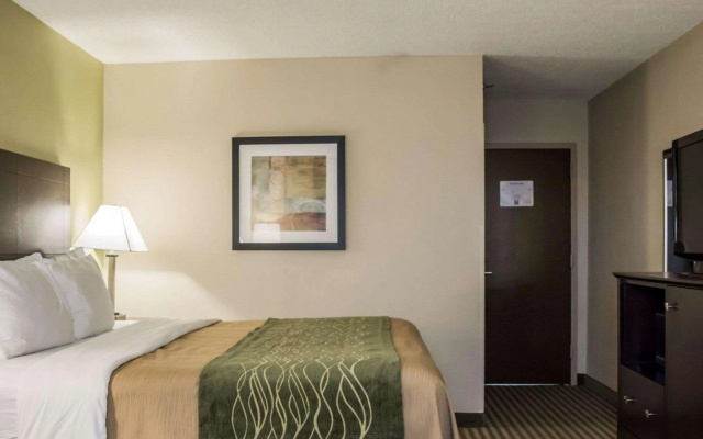 photo 4 of Comfort Inn & Suites St. Pete - Clearwater International Airport
