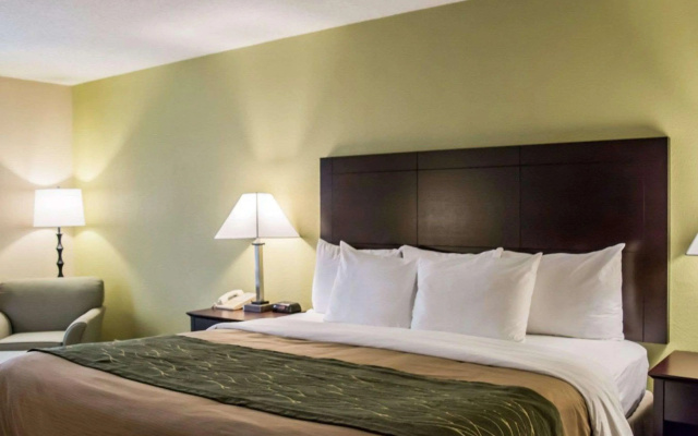 photo 5 of Comfort Inn & Suites St. Pete - Clearwater International Airport