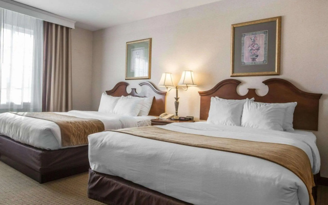 photo 3 of Comfort Inn & Suites East Greenbush - Albany