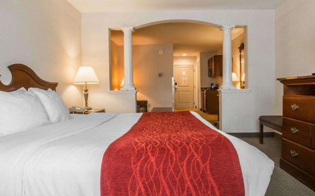 photo 4 of Comfort Inn & Suites East Greenbush - Albany