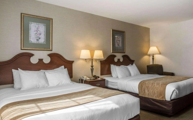 photo 5 of Comfort Inn & Suites East Greenbush - Albany