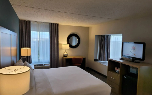 photo 5 of Comfort Inn & Suites Alexandria West