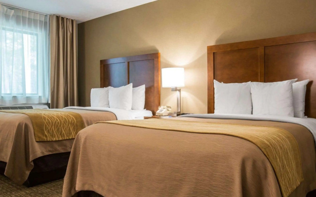 photo 5 of Comfort Inn & Suites Montpelier-Berlin