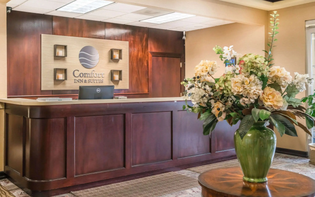 photo 2 of Comfort Inn & Suites Seattle North