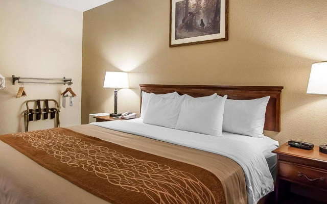 photo 4 of Comfort Inn & Suites Branson Meadows