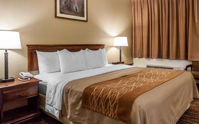 photo 5 of Comfort Inn & Suites Branson Meadows