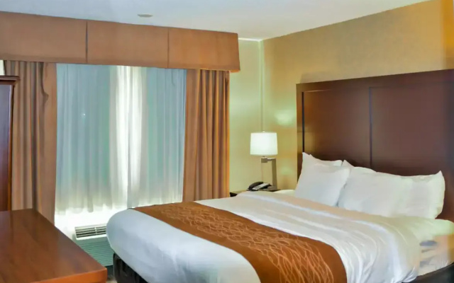 photo 4 of Comfort Inn & Suites Vancouver Downtown City Center