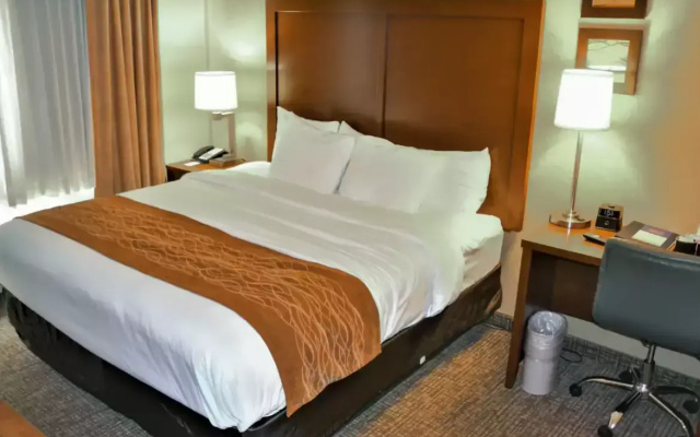 photo 5 of Comfort Inn & Suites Vancouver Downtown City Center