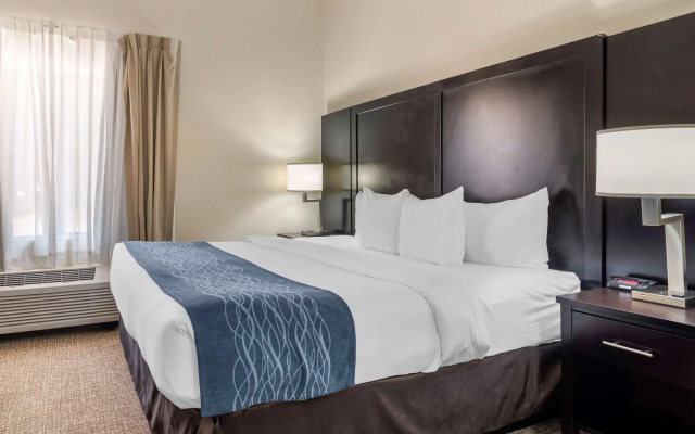 photo 3 of Comfort Inn & Suites Atlanta/Smyrna