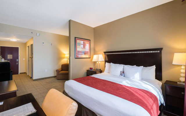 photo 3 of Comfort Inn and Suites Maingate South Davenport