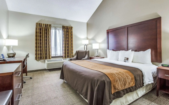 photo 4 of Comfort Inn & Suites Love Field - Dallas Market Center