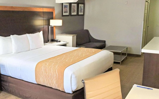 photo 5 of Comfort Inn & Suites Near Universal - N. Hollywood - Burbank