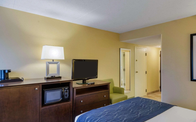 photo 4 of Comfort Inn & Suites Newark - Wilmington