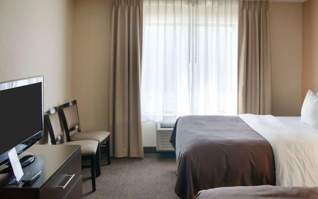photo 3 of Quality Inn & Suites Niles
