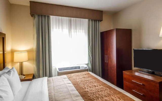 photo 3 of Comfort Inn & Suites Oakland