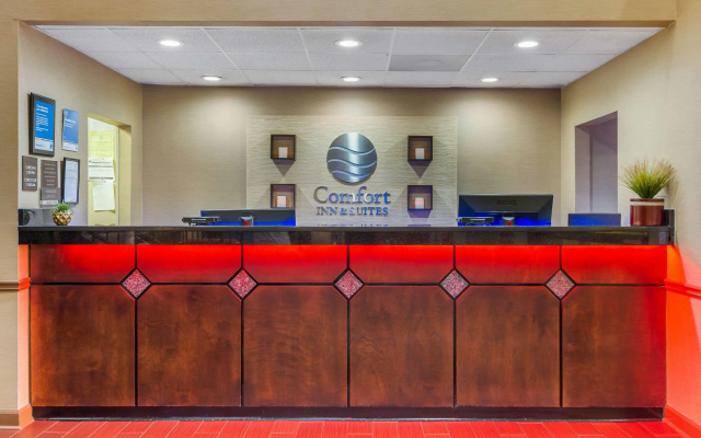 photo 2 of Comfort Inn & Suites Peachtree Corners