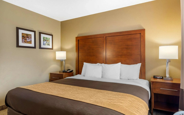 photo 4 of Comfort Inn & Suites Peachtree Corners