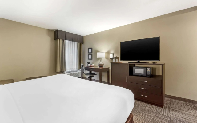 photo 3 of Comfort Inn & Suites Sea-Tac Airport