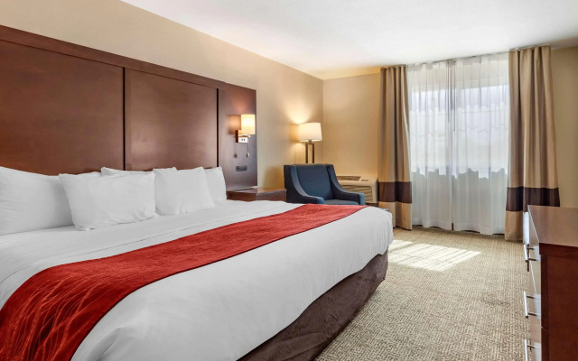 photo 4 of Comfort Inn Santa Rosa on Route 66
