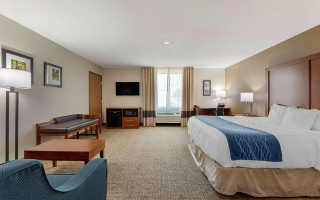 photo 4 of Comfort Inn Anderson South