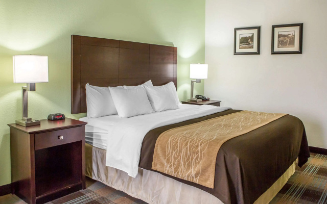 photo 5 of Comfort Inn Lexington South