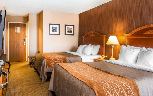 photo 3 of Hampton Inn by Hilton Chelsea