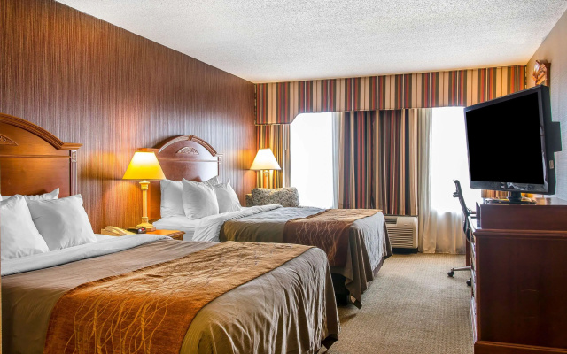 photo 5 of Hampton Inn by Hilton Chelsea