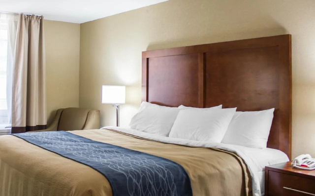 photo 3 of Hotel Jamaica Plaza