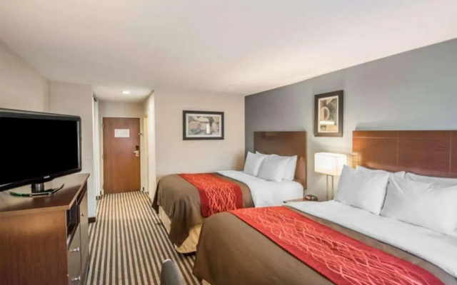 photo 5 of Comfort Inn